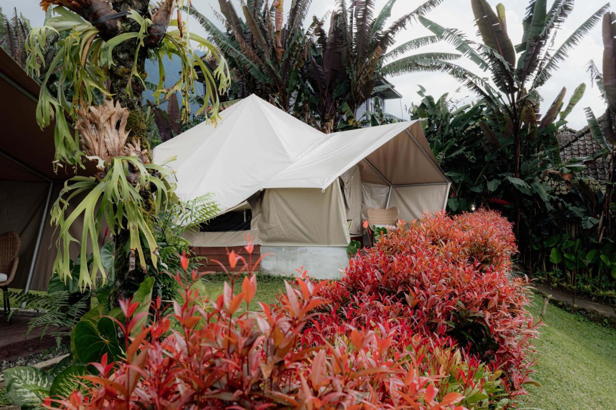 Alamu Eco Lodge เบอดูกูล ภายนอก รูปภาพ