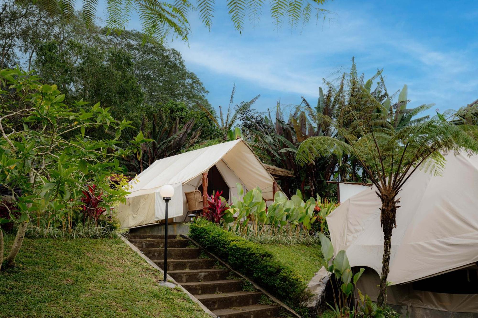 Alamu Eco Lodge เบอดูกูล ภายนอก รูปภาพ
